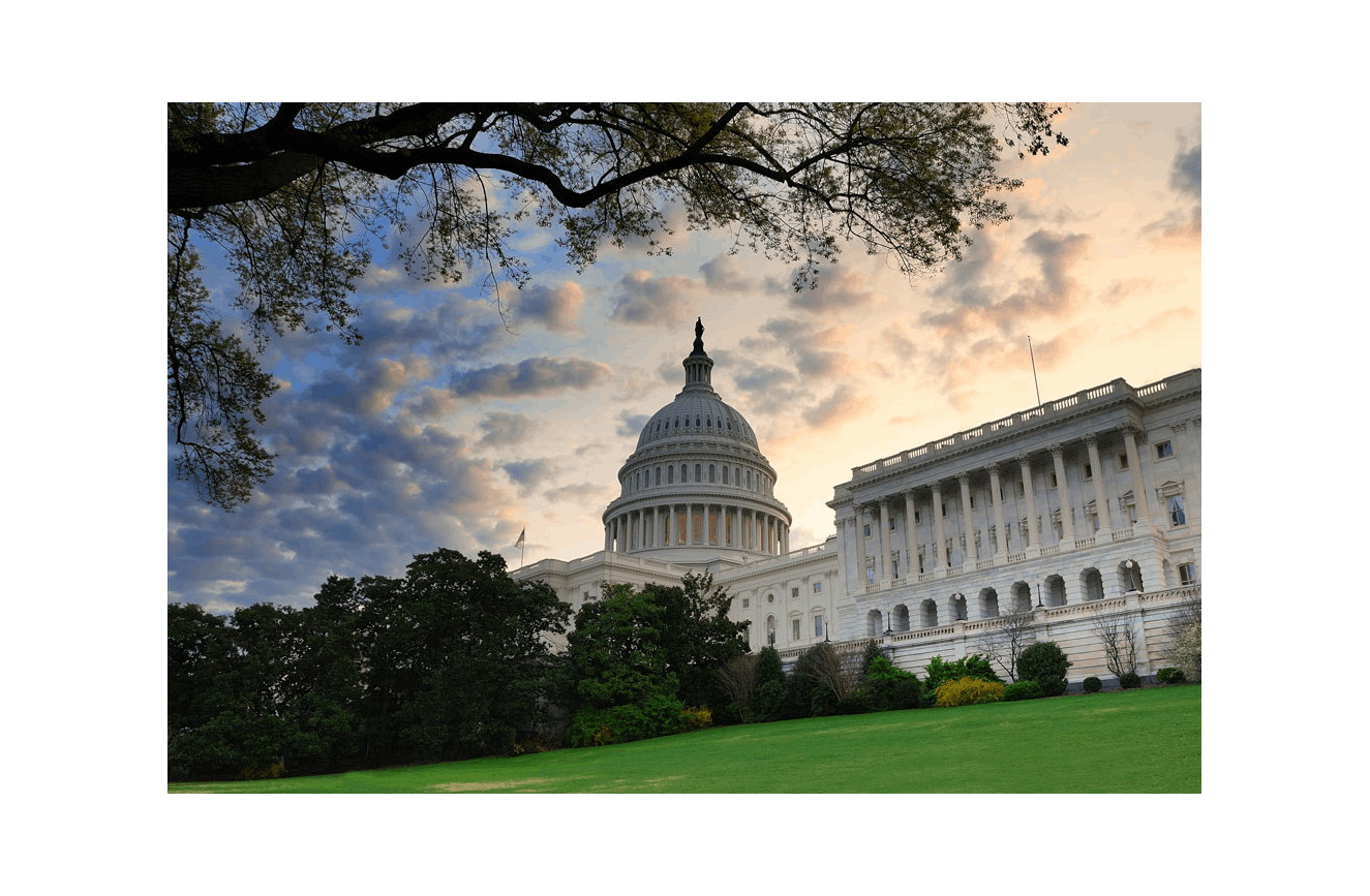 There's Only One Washington DC image