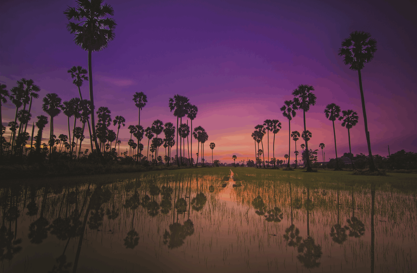 Thailand on Sale image