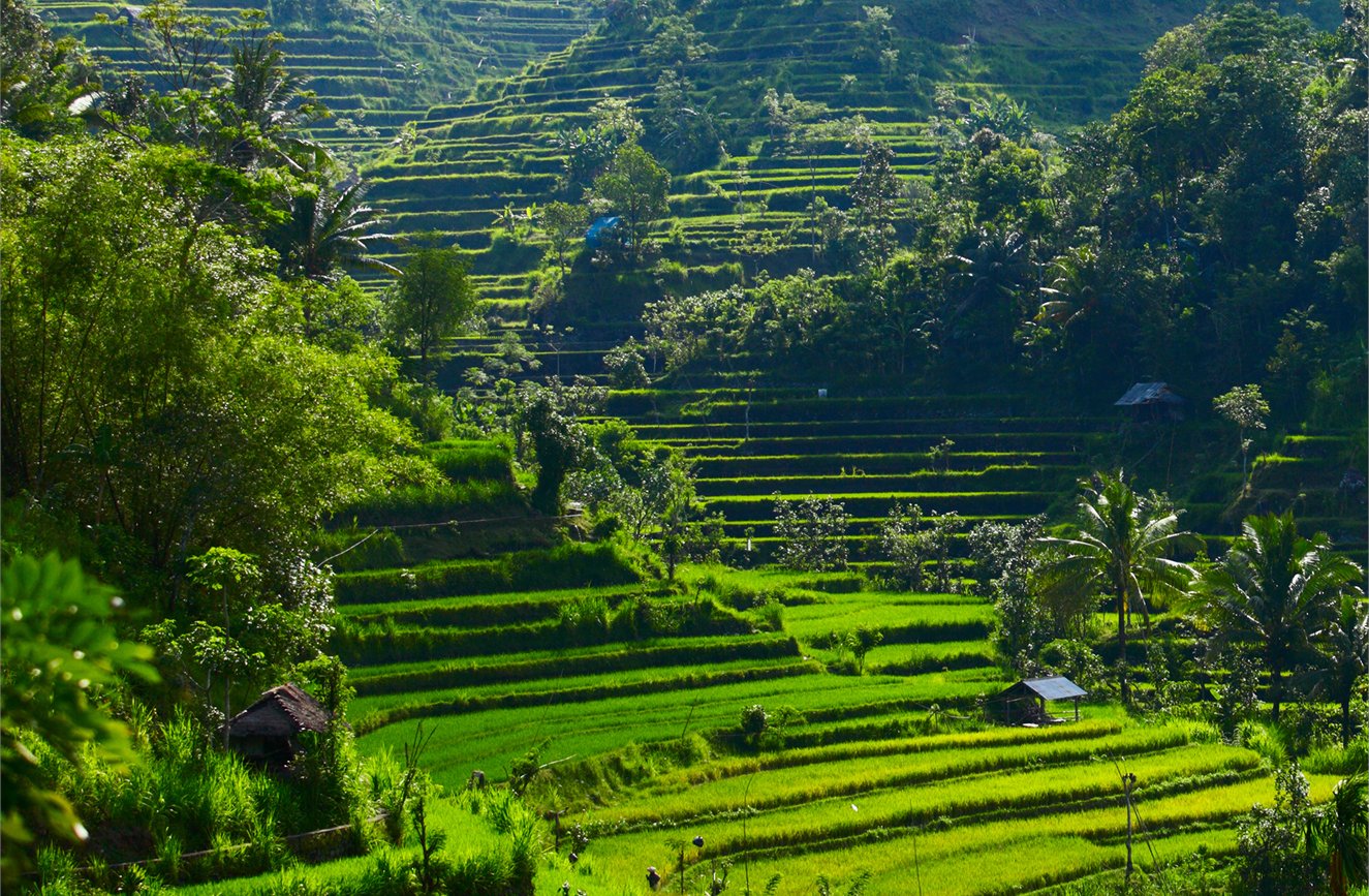 Asia - Bali ON SALE image