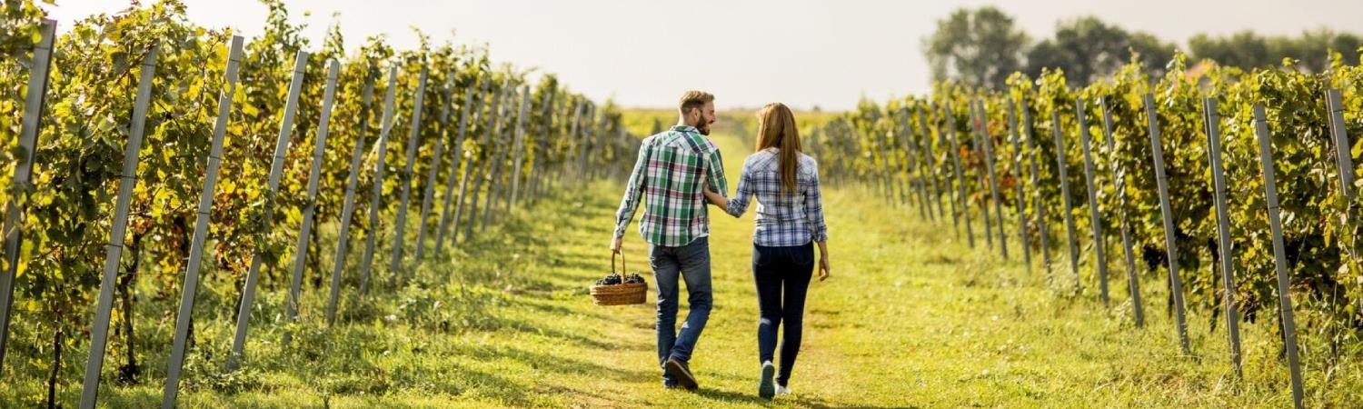 Escape to the Hunter Valley image