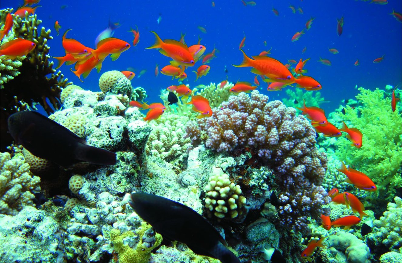 Island Getaways in Queensland image