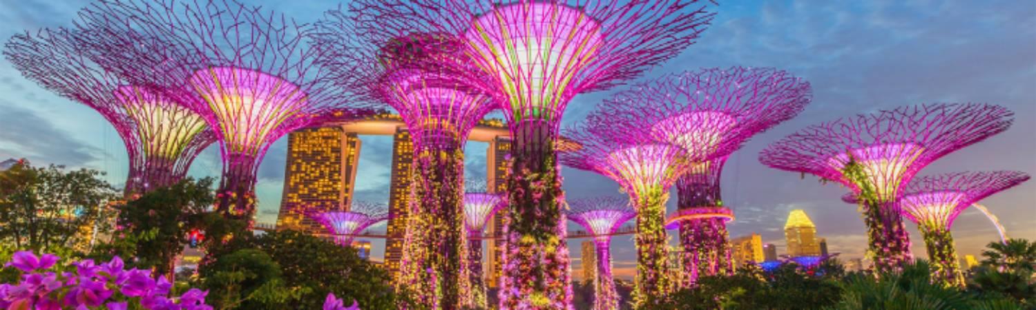 Family Fun in Singapore & Sentosa image