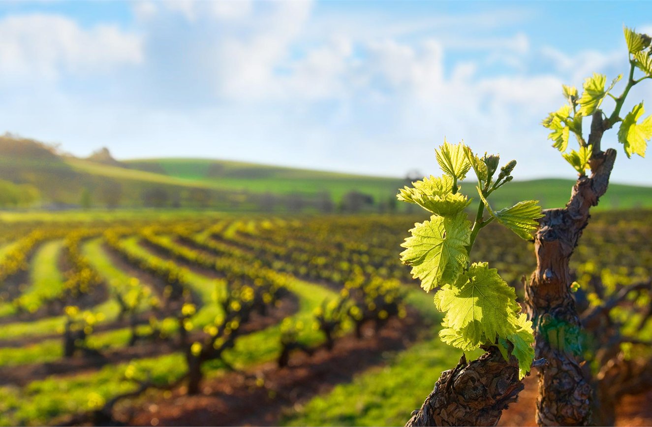 Food & Wine Experiences 2026 image