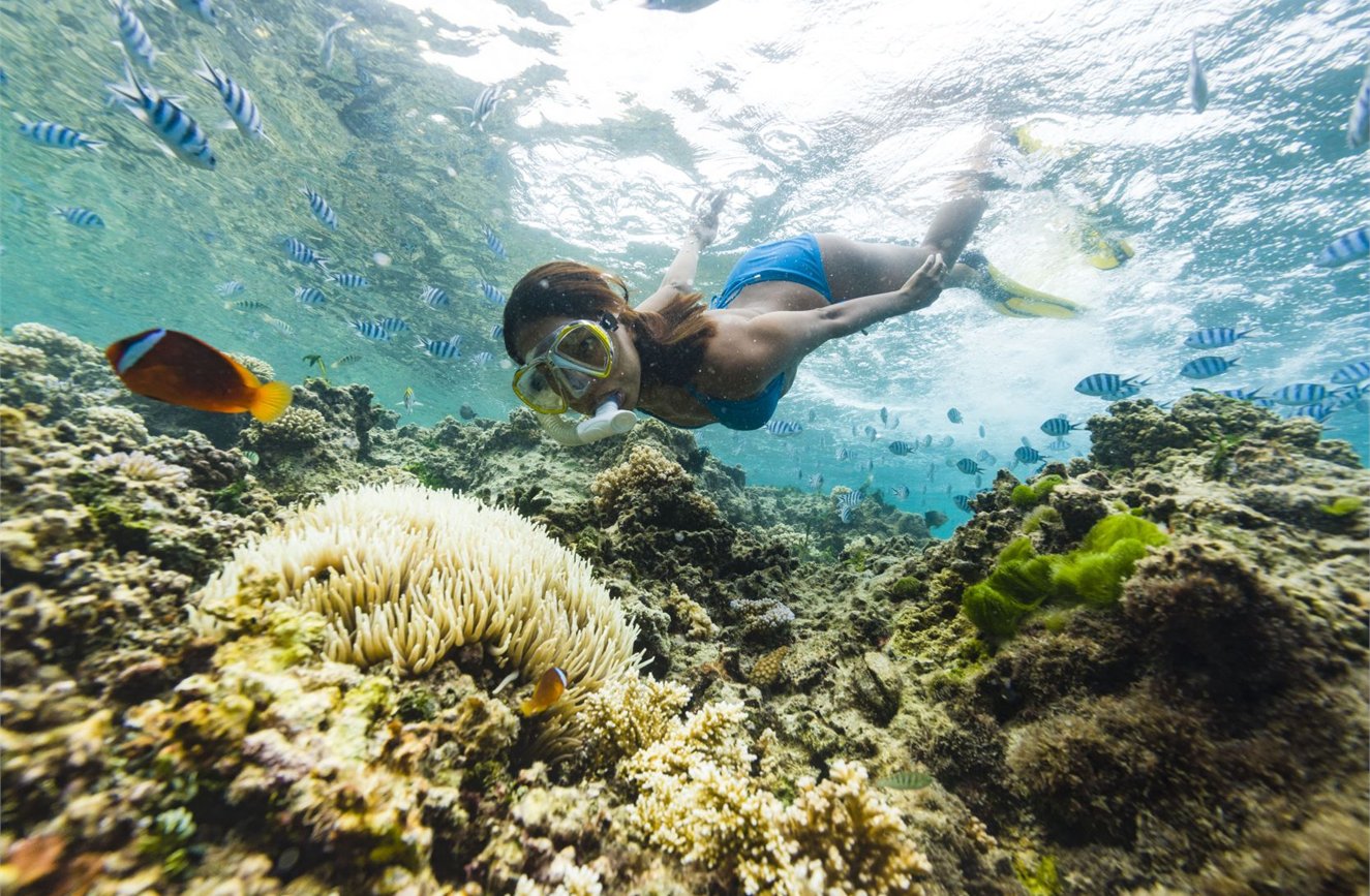 New Year Sale- Blue Lagoon Cruises image