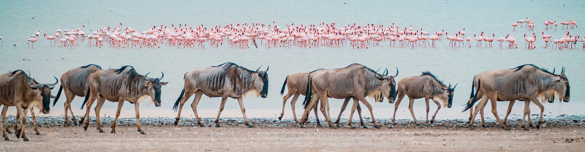 Best of East Africa image