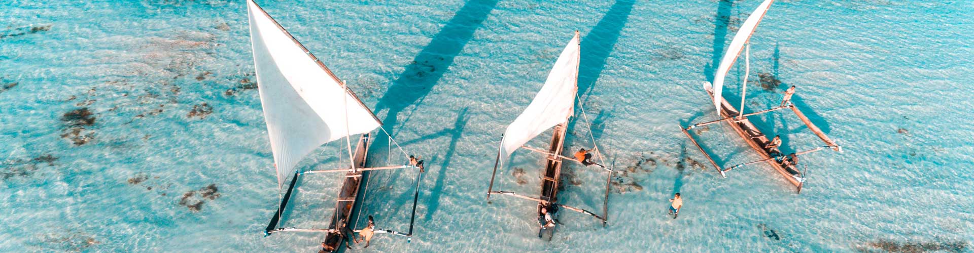 Vic Falls to Zanzibar image