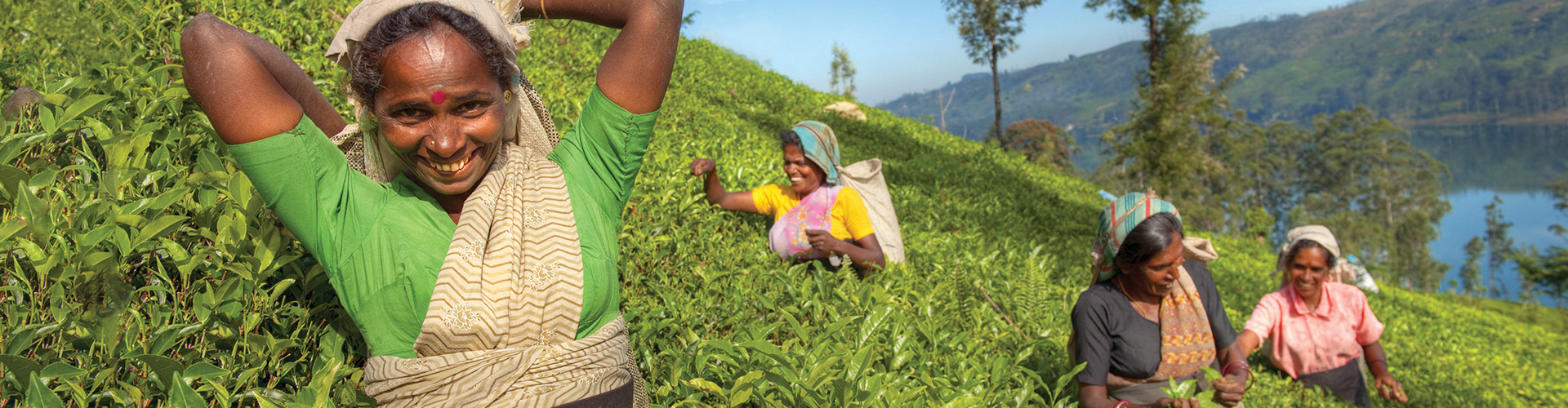 Simply Sri Lanka image