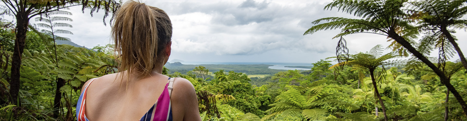 Daintree & Cape Tribulation Adventure image