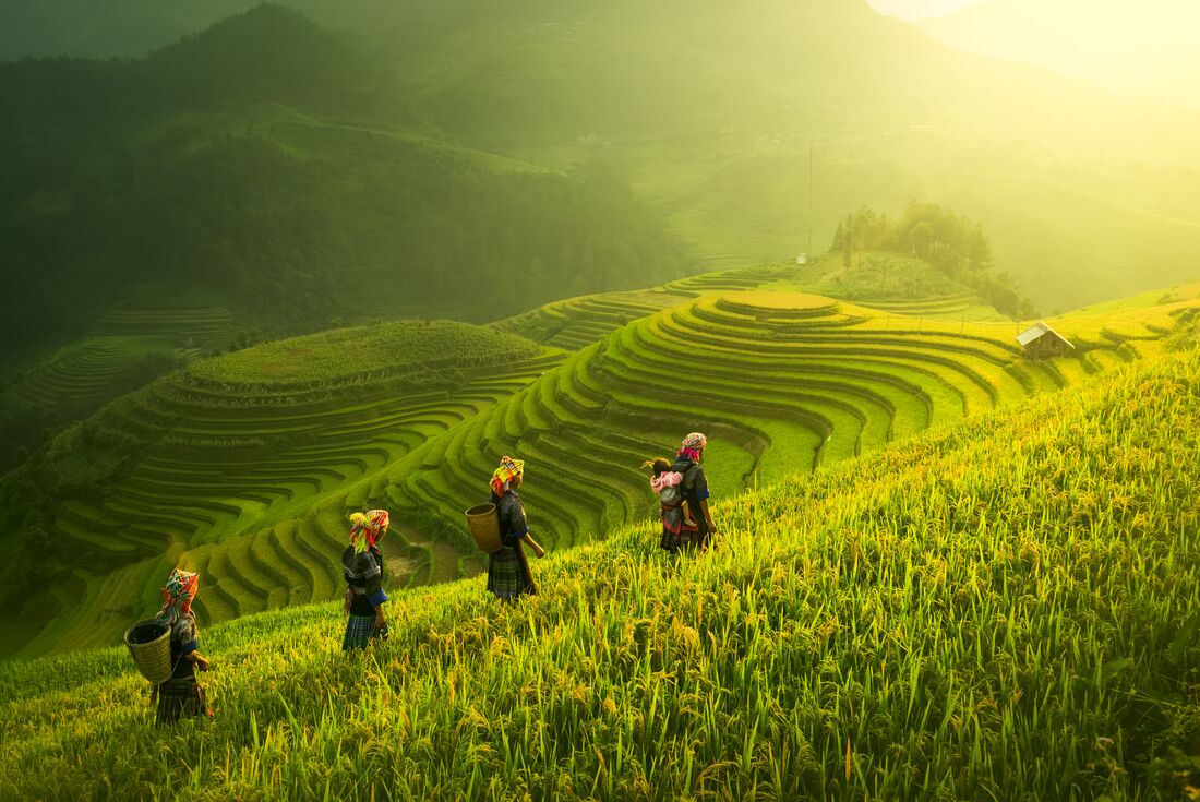 Premium Walking & Hiking in Vietnam image