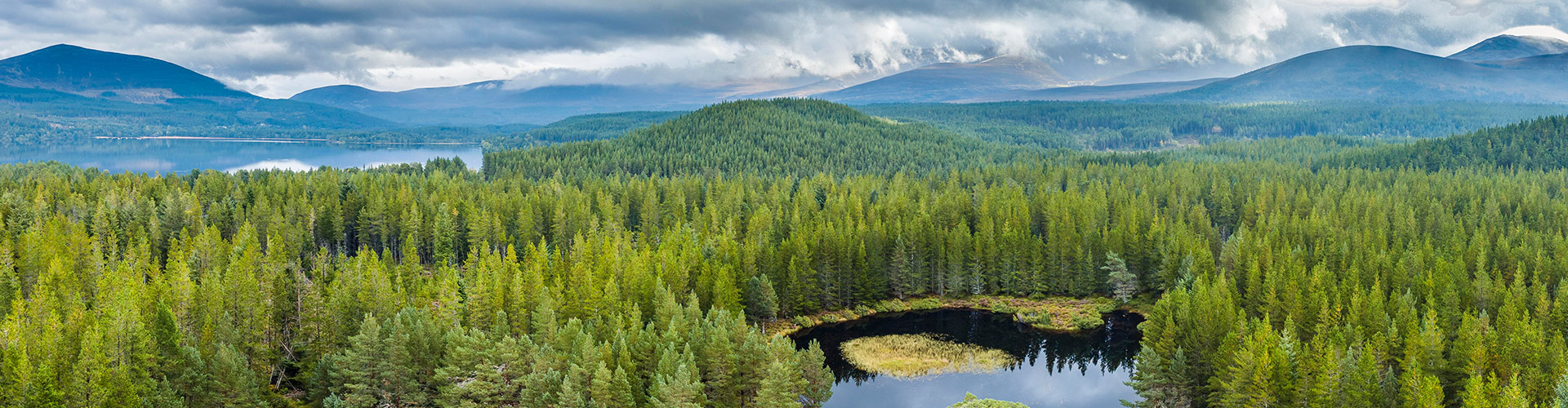 Premium Scotland image