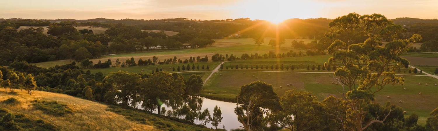 Hahndorf, Hills & Hidden Gems image