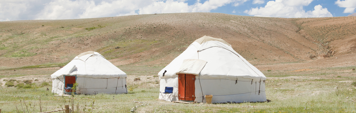 Central Asia: Five Stans Express image