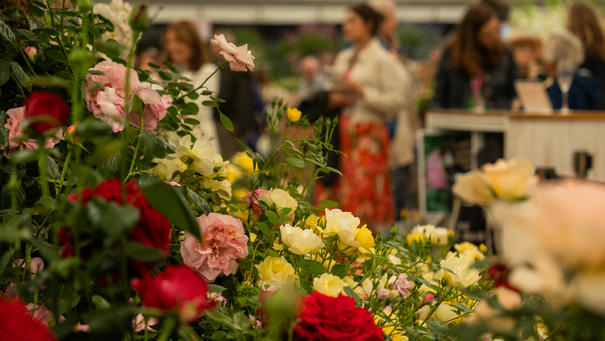 Chelsea Flower Show image