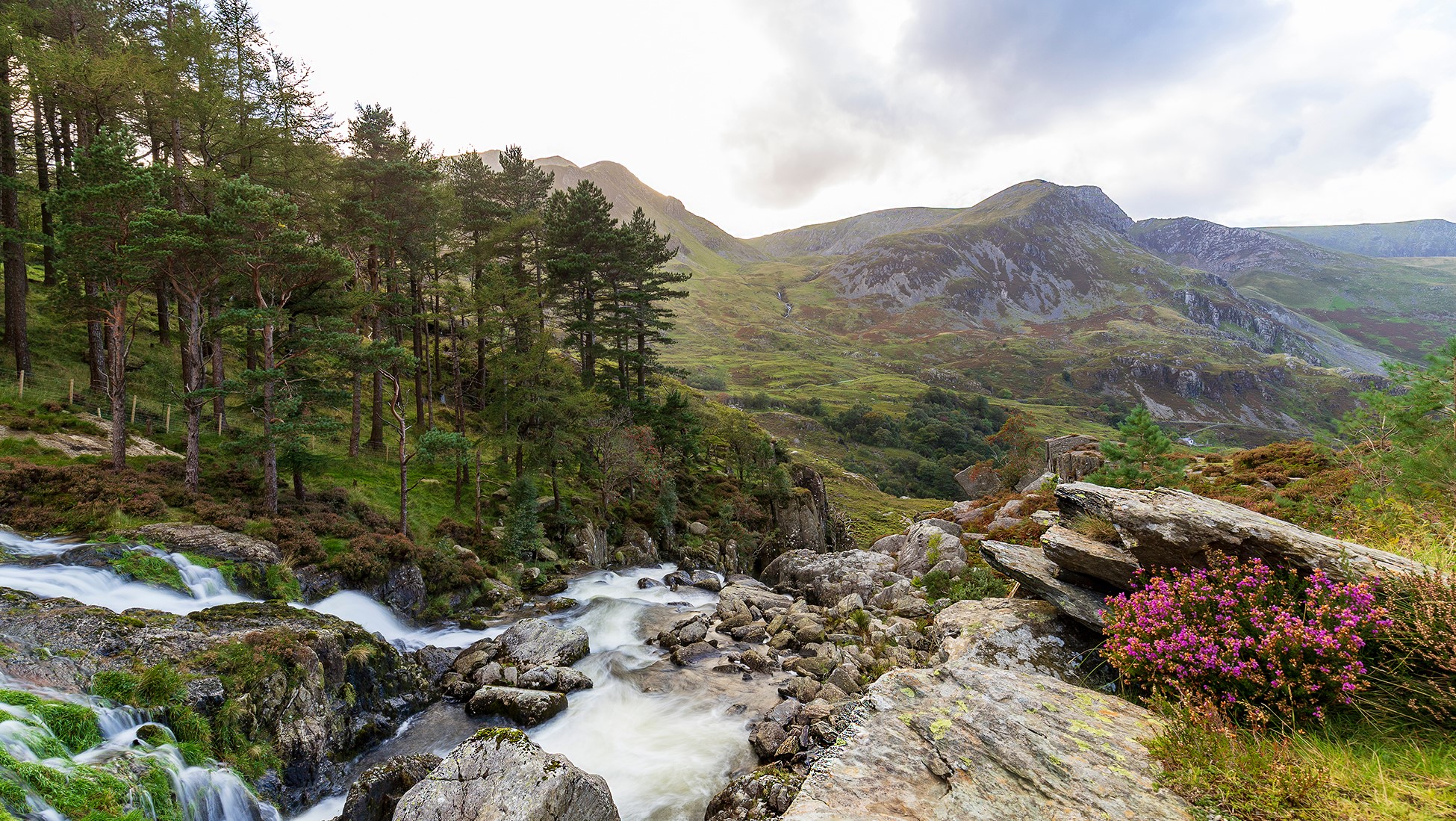 The Wonders of Wales image