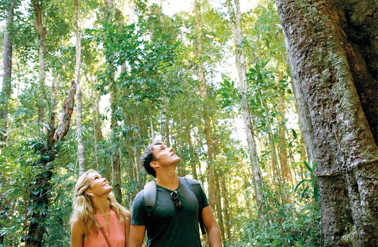 Visit Sunshine Coast image