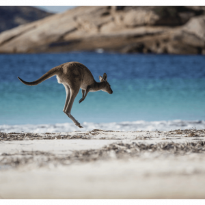 Western Australia, Step into a Dream
