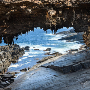 7 Day Kangaroo Island Explorer