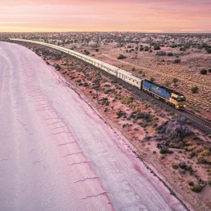 The Indian Pacific- Under the Milky Way Tour