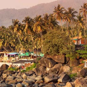 South India Revealed