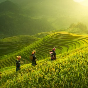 Premium Walking & Hiking in Vietnam
