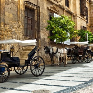 Premium Spain & Morocco