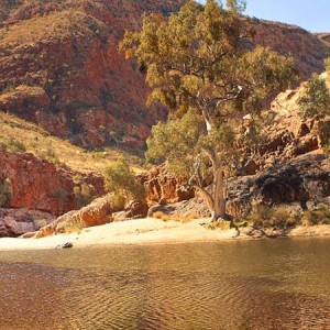 Explore Alice Springs
