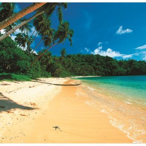 Sensational Samoa