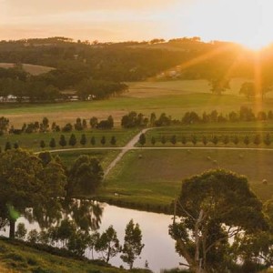 Hahndorf, Hills & Hidden Gems
