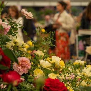 Chelsea Flower Show