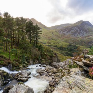 The Wonders of Wales