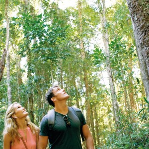 Visit Sunshine Coast