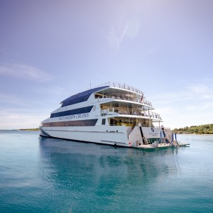 Blue Lagoon Cruises on Sale