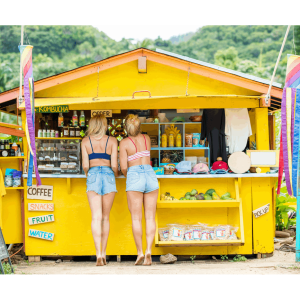 Holiday In Hawaii